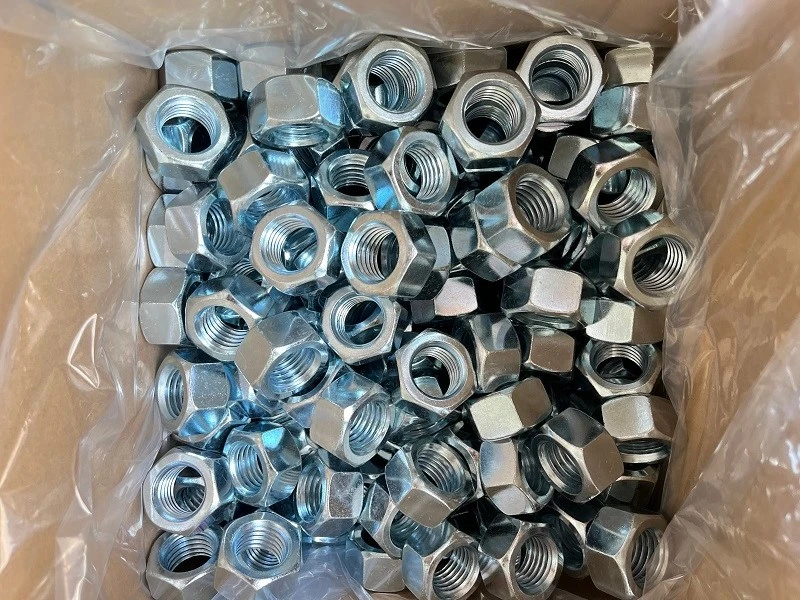 880e5ba8-60ea-4934-9b21-bb68254a85af 880e5ba8-60ea-4934-9b21-bb68254a85af